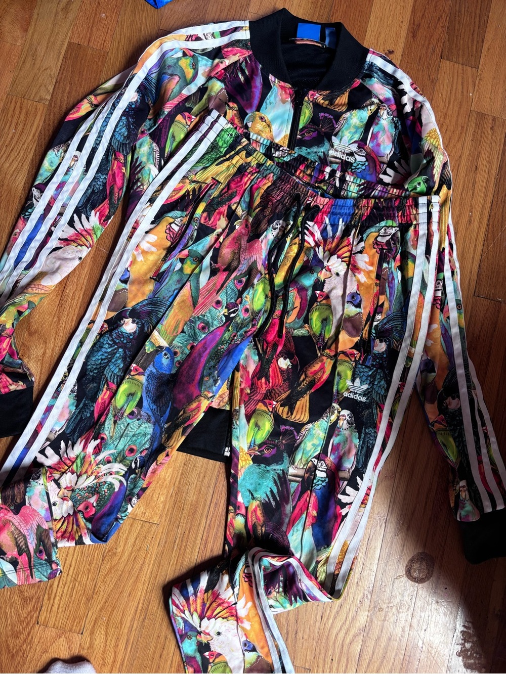 adidas Multicolor Parrot Print Track Jacket and Pants